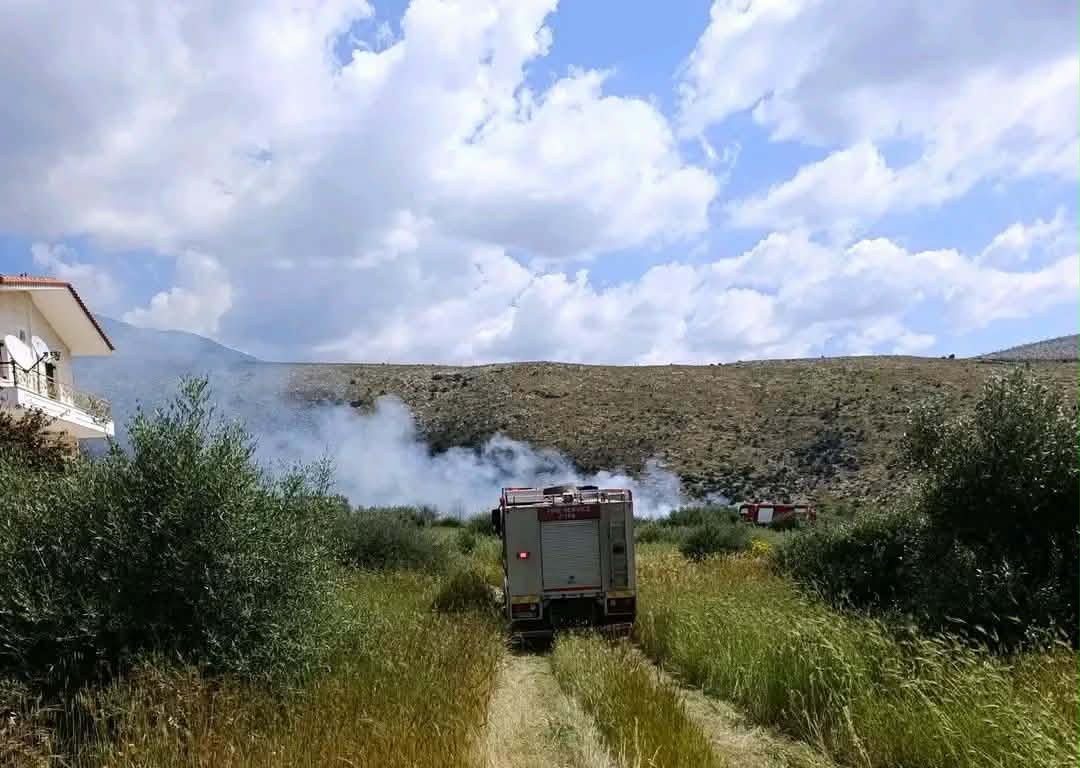 Πυρκαγιά σε ελαιώνα στην περιοχή Σαράντι Βοιωτίας