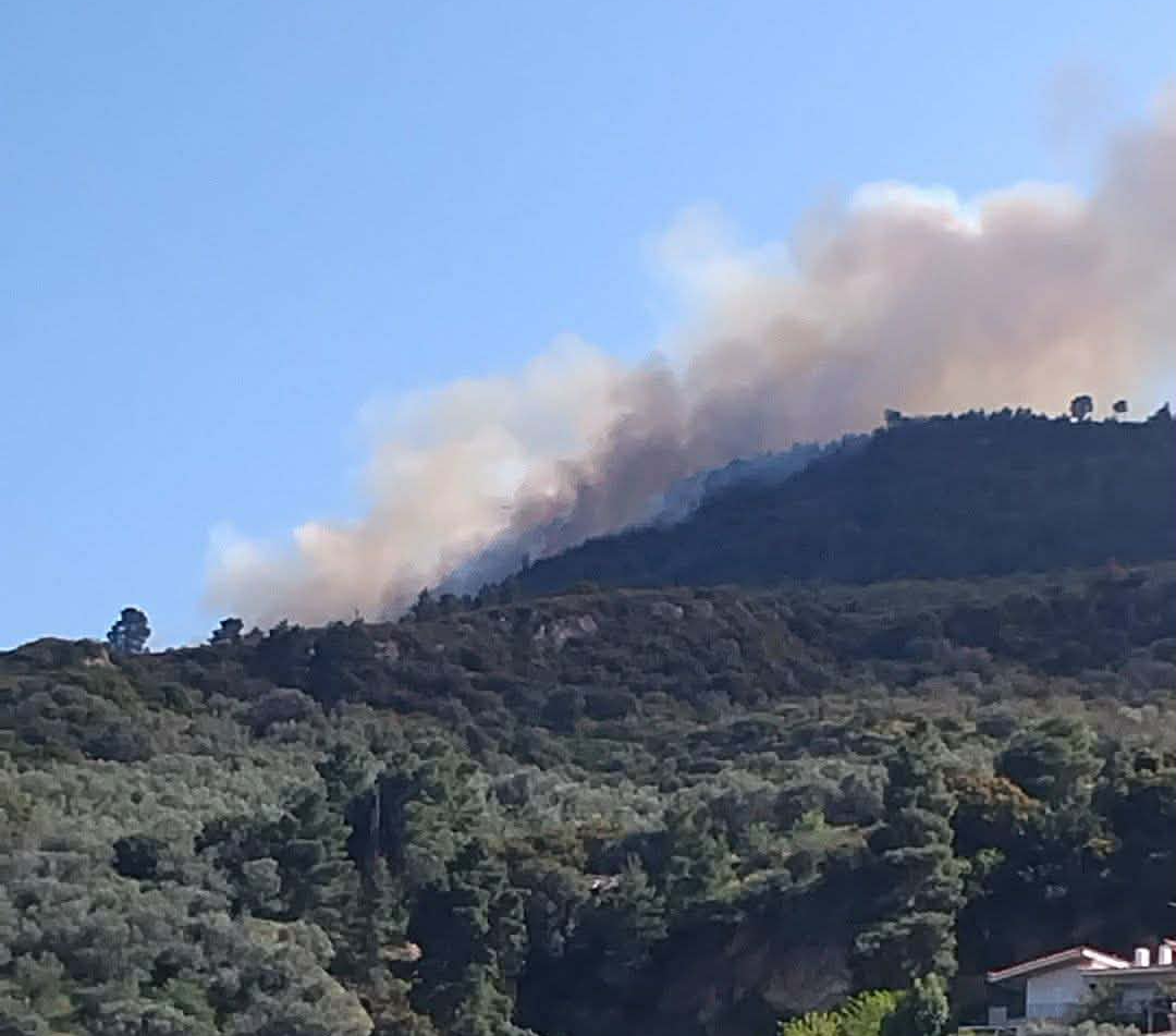 Πυρκαγιά σε δασική έκταση στην περιοχή Άμπελος Αχαΐας
