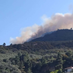 Πυρκαγιά σε δασική έκταση στην περιοχή Άμπελος Ακράτας Αχαΐας