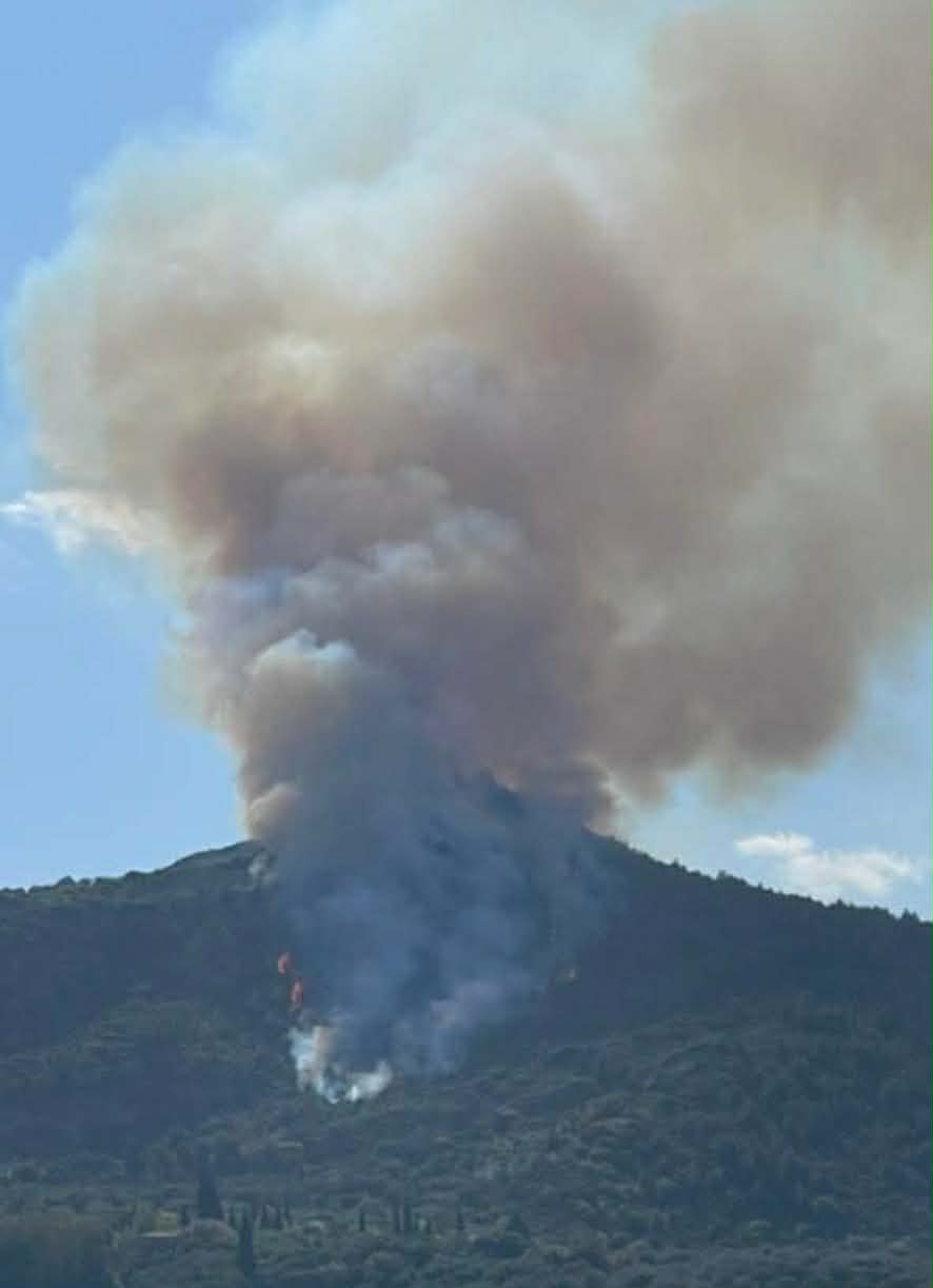 Πυρκαγιά σε δασική έκταση στην περιοχή Άμπελος Αχαΐας