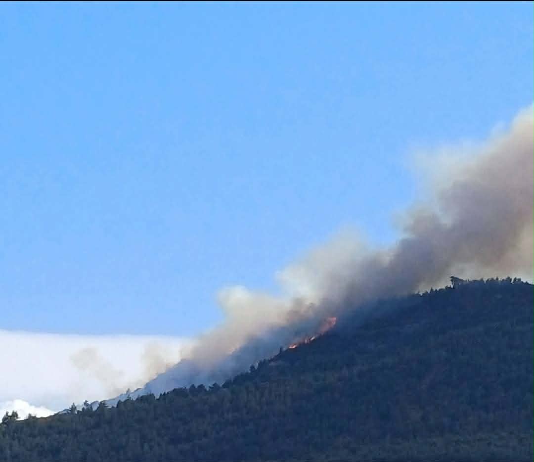 Πυρκαγιά σε δασική έκταση στην περιοχή Άμπελος Αχαΐας