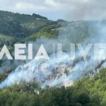 Πυρκαγιά σε δασική έκταση στην περιοχή Λέπρεο Ηλείας
