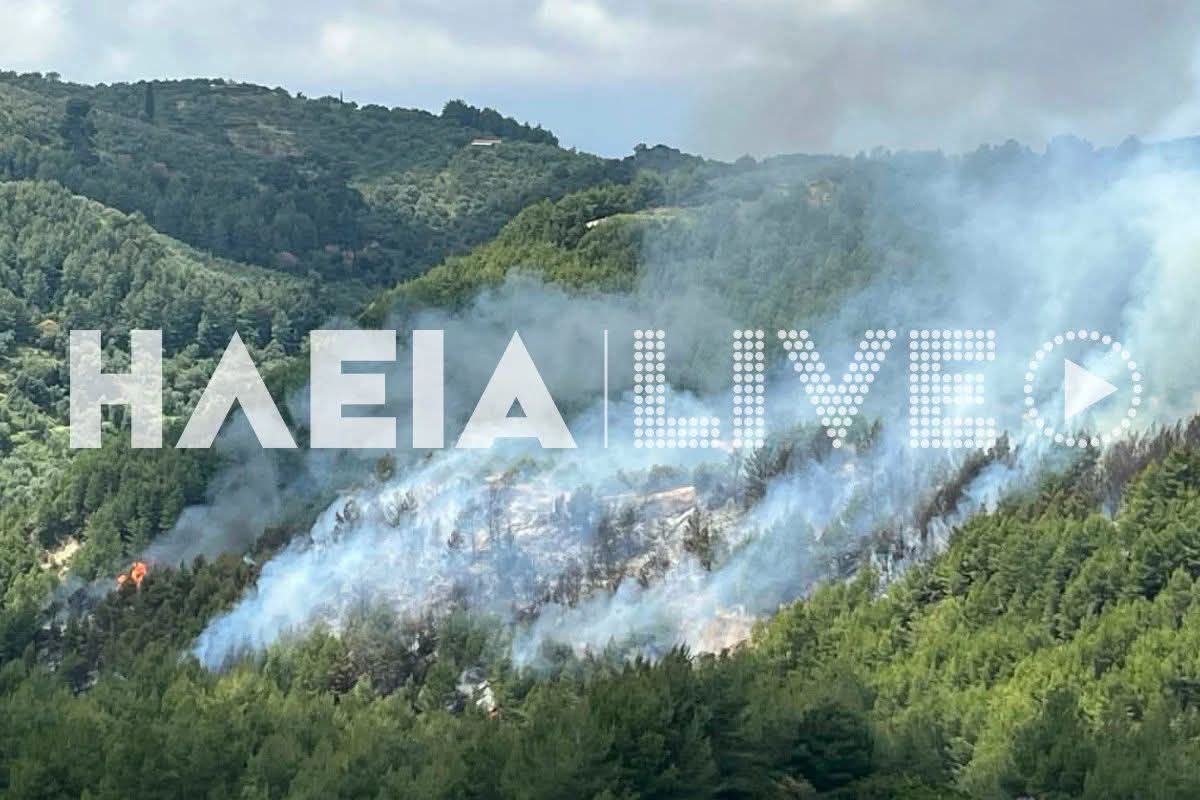 Πυρκαγιά σε δασική έκταση στην περιοχή Λέπρεο Ηλείας