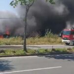 Πυρκαγιά σε καλαμιές στη νέα είσοδο της Καλαμάτας