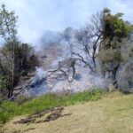 Πυρκαγιά σε χαμηλή βλάστηση στο Μεντούλι Ευβοίας