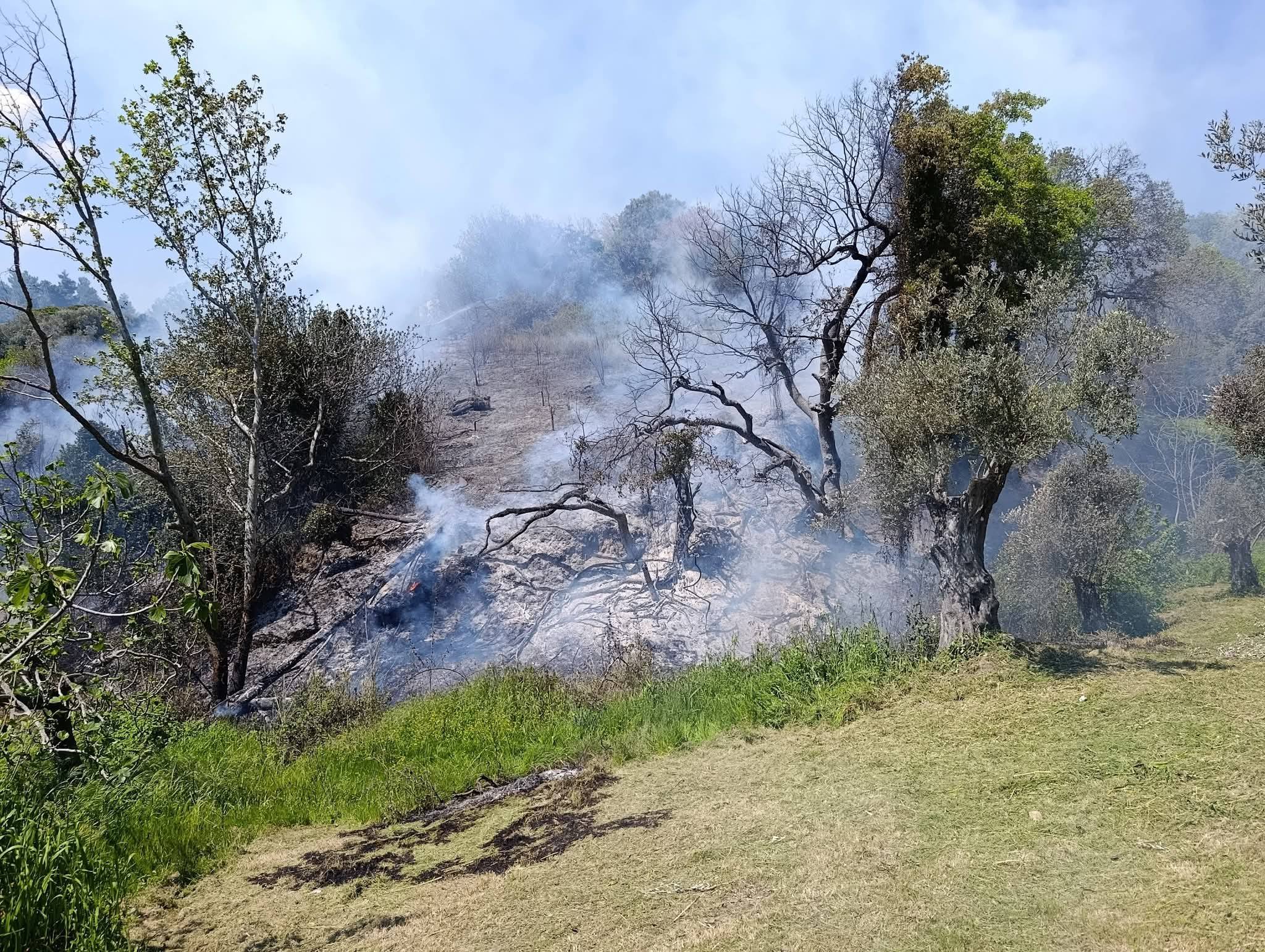 Πυρκαγιά σε χαμηλή βλάστηση στο Μεντούλι Ευβοίας