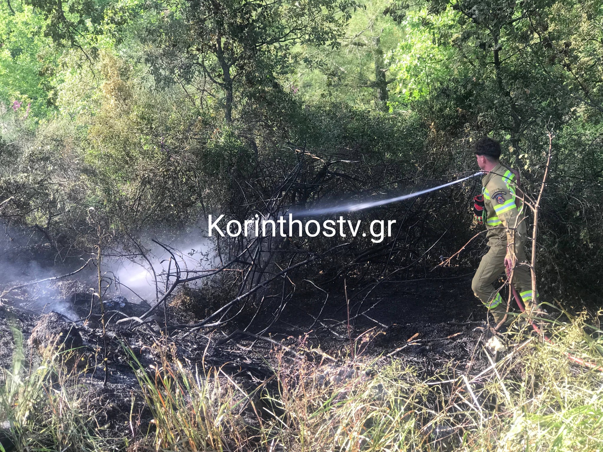 Πυρκαγιά σε γεωργική έκταση στην περιοχή Καστράκι Κορινθίας