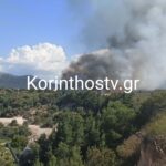 Πυρκαγιά σε δασική έκταση στο Ζευγολατιό Κορινθίας