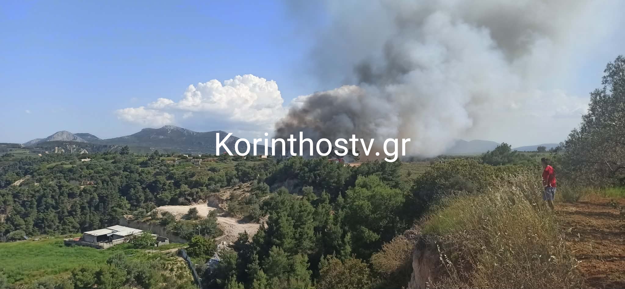 Πυρκαγιά σε δασική έκταση στο Ζευγολατιό Κορινθίας
