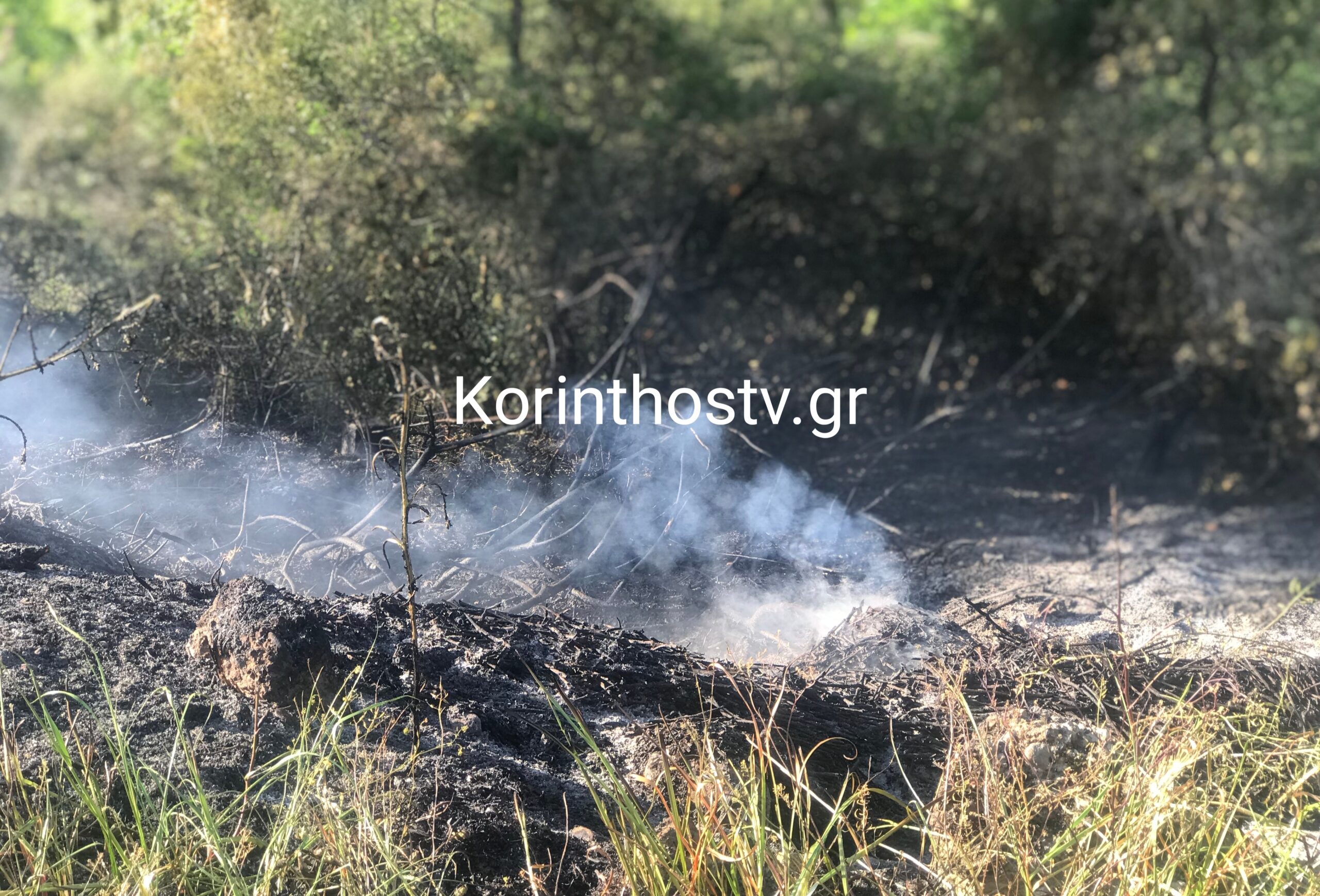 Πυρκαγιά σε γεωργική έκταση στην περιοχή Ασπρόκαμπος Περαχώρας Κορινθίας