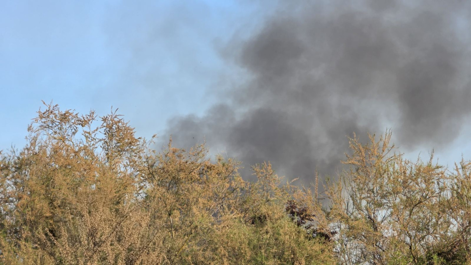 Πυρκαγιά σε καλαμιές στη λίμνη Κορώνεια στον Λαγκαδά Θεσσαλονίκης