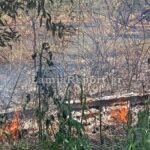 Πυρκαγιά σε οικοπεδικό χώρο στην περιοχή Κόμμα Λαμίας