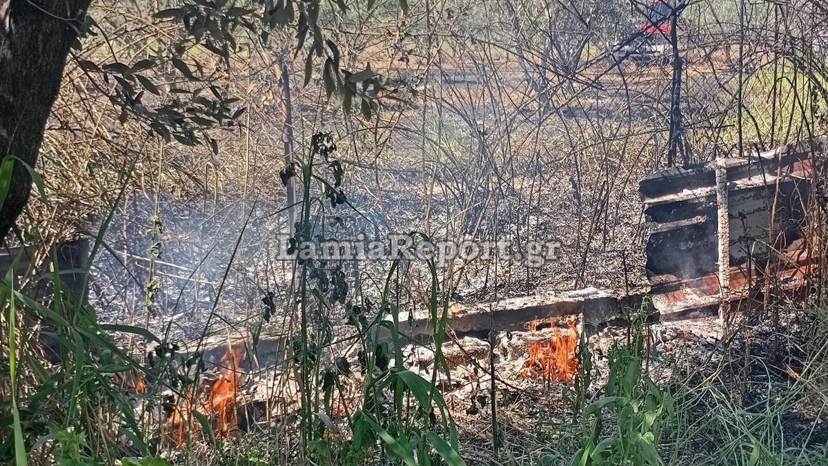 Πυρκαγιά σε οικοπεδικό χώρο στην περιοχή Κόμμα Λαμίας