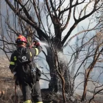 Σε ύφεση η πυρκαγιά σε δασική έκταση στο Νεοχώρι Μαγνησίας