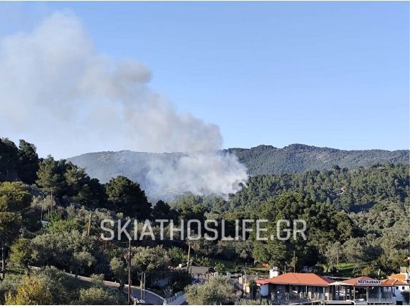 Πυρκαγιά σε δασική έκταση στον Πλατανιά Σκιάθου