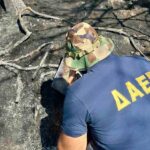 ΔΑΕΕ: Στο στόχαστρο οι εμπρησμοί από αμέλεια