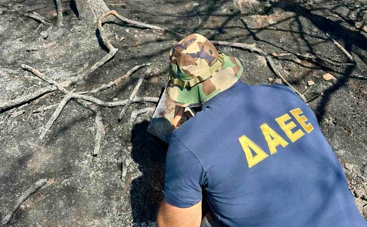 ΔΑΕΕ: Στο στόχαστρο οι εμπρησμοί από αμέλεια