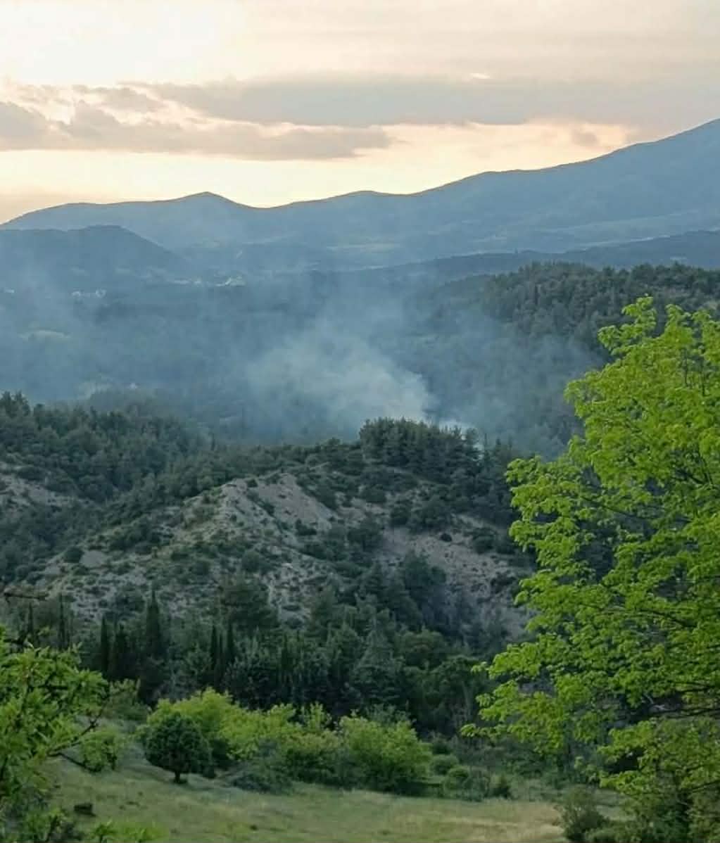 Πυρκαγιά σε δασική έκταση στην περιοχή Άγιος Ιωάννης Σερρών Πυρκαγιά σε δασική έκταση στην περιοχή Άγιος Ιωάννης Σερρών