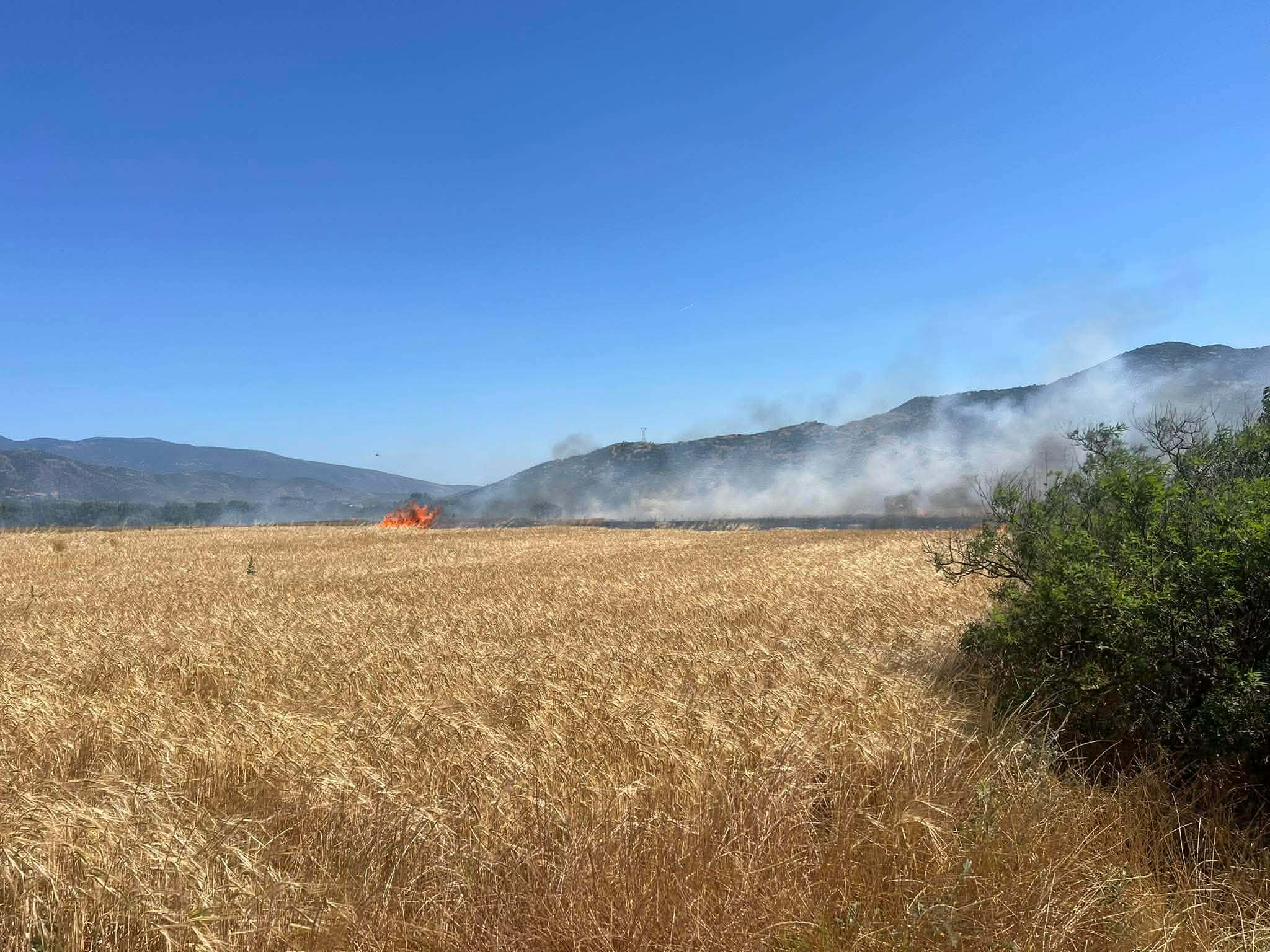 Πυρκαγιά σε αγροτοδασική έκταση στους Γόννους Λάρισας Πυρκαγιά σε αγροτοδασική έκταση στους Γόννους Λάρισας