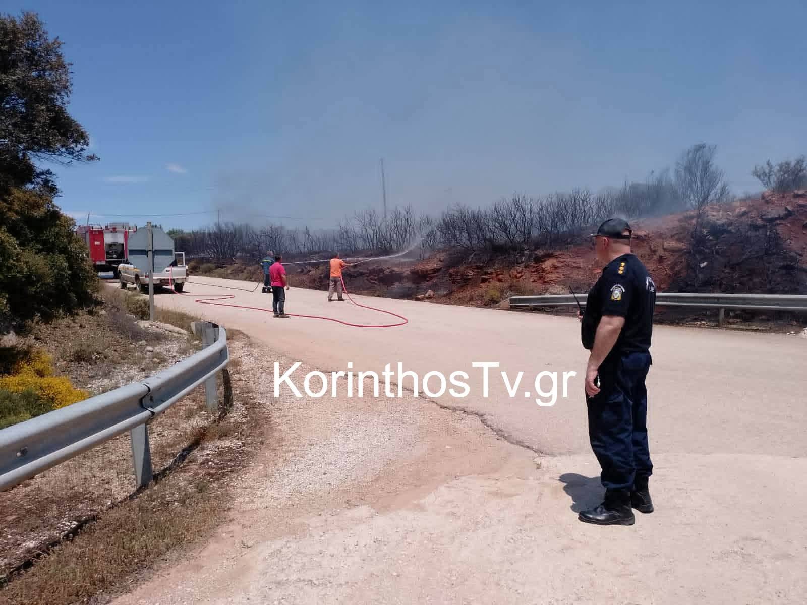Πυρκαγιά σε αγροτική έκταση στην Αρχαία Νεμέα Πυρκαγιά σε αγροτική έκταση στην Αρχαία Νεμέα