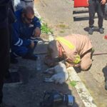 Συγκλονιστική διάσωση γυναίκας και σκύλου από πυροσβέστες της Π.Υ. Κρεστένων στη Ζαχάρω Ηλείας