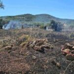 Πυρκαγιά σε οικοπεδική έκταση με ελαιόδεντρα στην περιοχή του Μεσαγρού Αίγινας