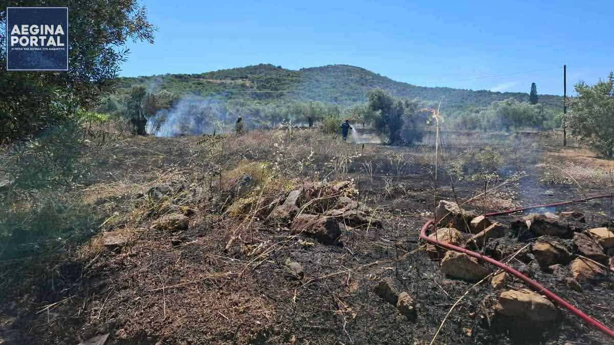Πυρκαγιά σε οικοπεδική έκταση με ελαιόδεντρα στην περιοχή του Μεσαγρού Αίγινας