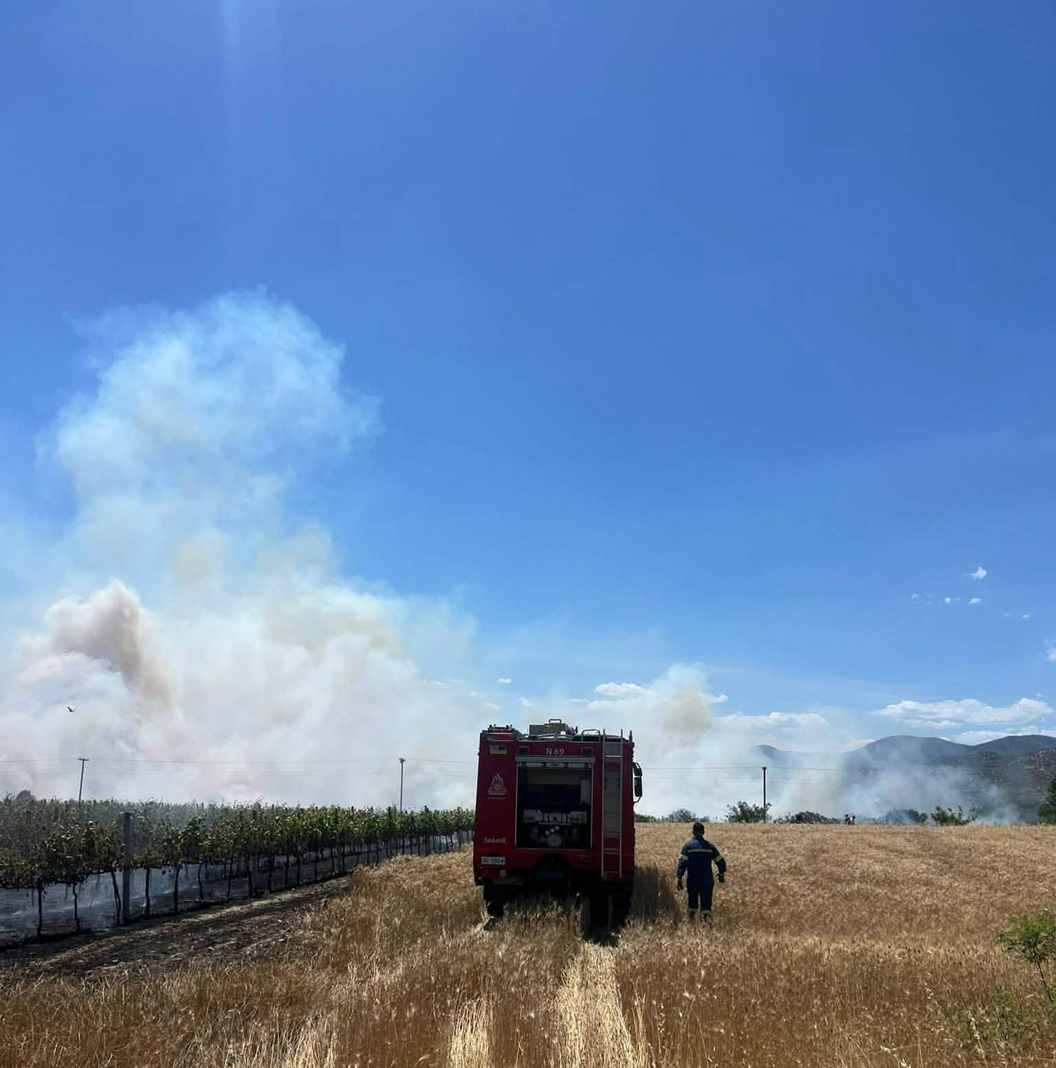 Πυρκαγιά σε αγροτοδασική έκταση στους Γόννους Λάρισας