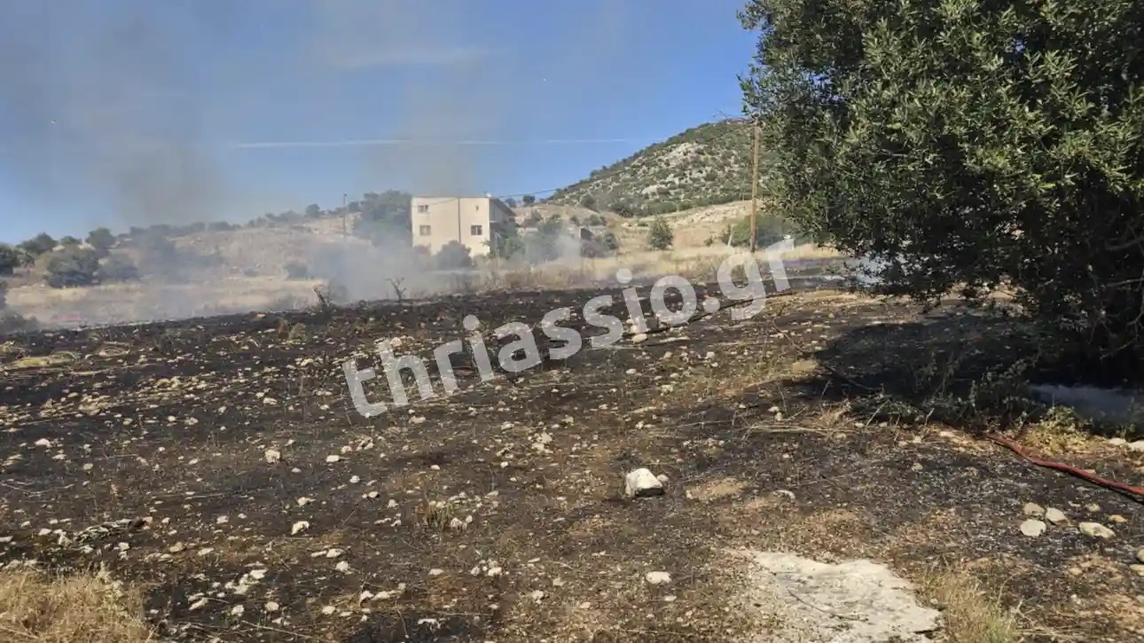 Πυρκαγιά σε χαμηλή βλάστηση στα Νεόκτιστα Ασπροπύργου Πυρκαγιά σε χαμηλή βλάστηση στα Νεόκτιστα Ασπροπύργου