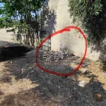 Συνελήφθη 62χρονη για πυρκαγιά από αμέλεια στην Αίγινα – Κάηκαν περίπου 20 στρέμματα