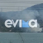 Πυρκαγιά σε ξερά χόρτα έξω από εργοστάσιο στη Χαλκίδα Ευβοίας