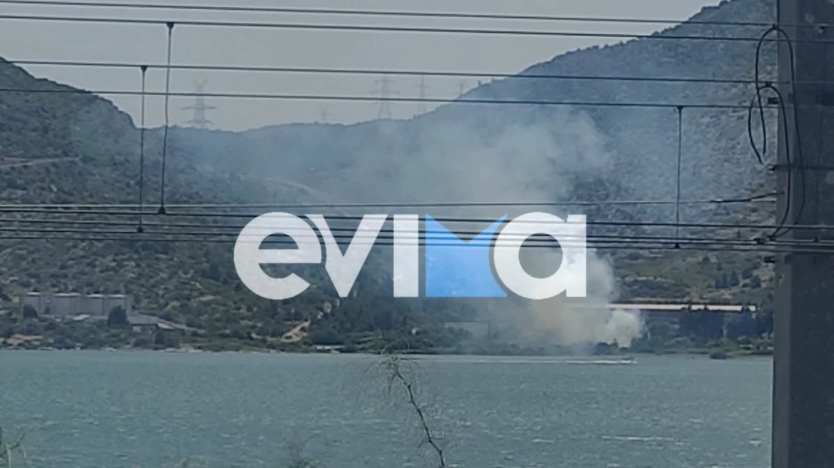Πυρκαγιά σε ξερά χόρτα έξω από εργοστάσιο στη Χαλκίδα Ευβοίας