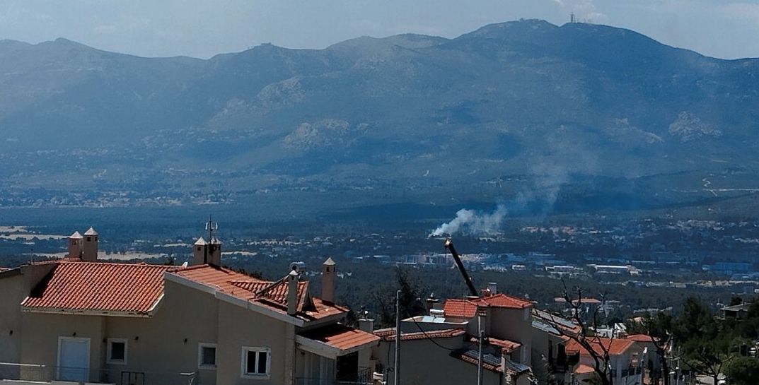 Άμεσα τέθηκε υπό μερικό έλεγχο η πυρκαγιά σε δασική έκταση στο Κρυονέρι Αττικής Άμεσα τέθηκε υπό μερικό έλεγχο η πυρκαγιά σε δασική έκταση στο Κρυονέρι Αττικής