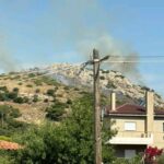 Πυρκαγιά σε δασική έκταση στην Πλάκα Κερατέας