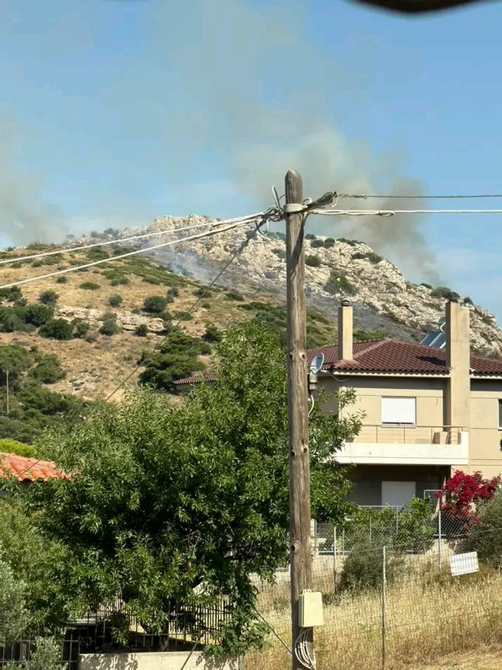 Πυρκαγιά σε δασική έκταση στην Πλάκα Κερατέας