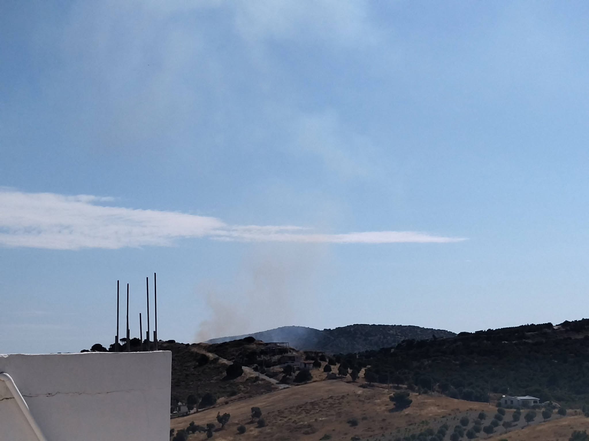 Πυρκαγιά σε δασική έκταση στην Πλάκα Κερατέας