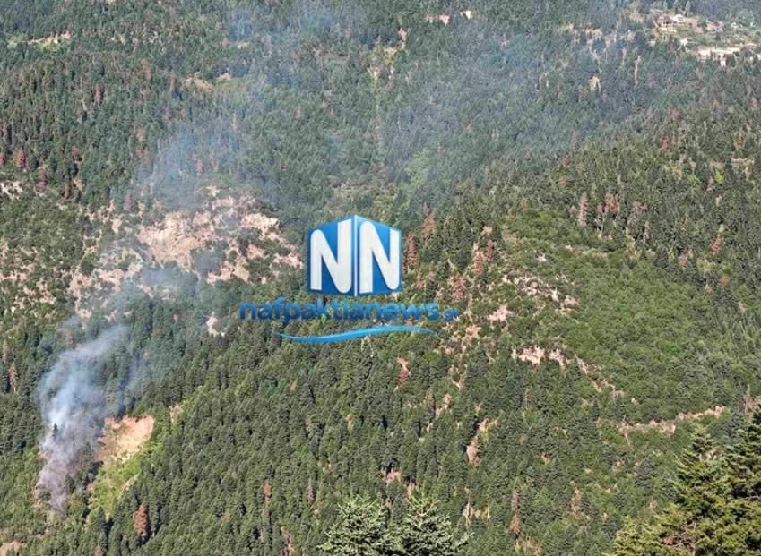 Πυρκαγιά σε δασική έκταση στην περιοχή Κρυονέρια Αιτωλοακαρνανία