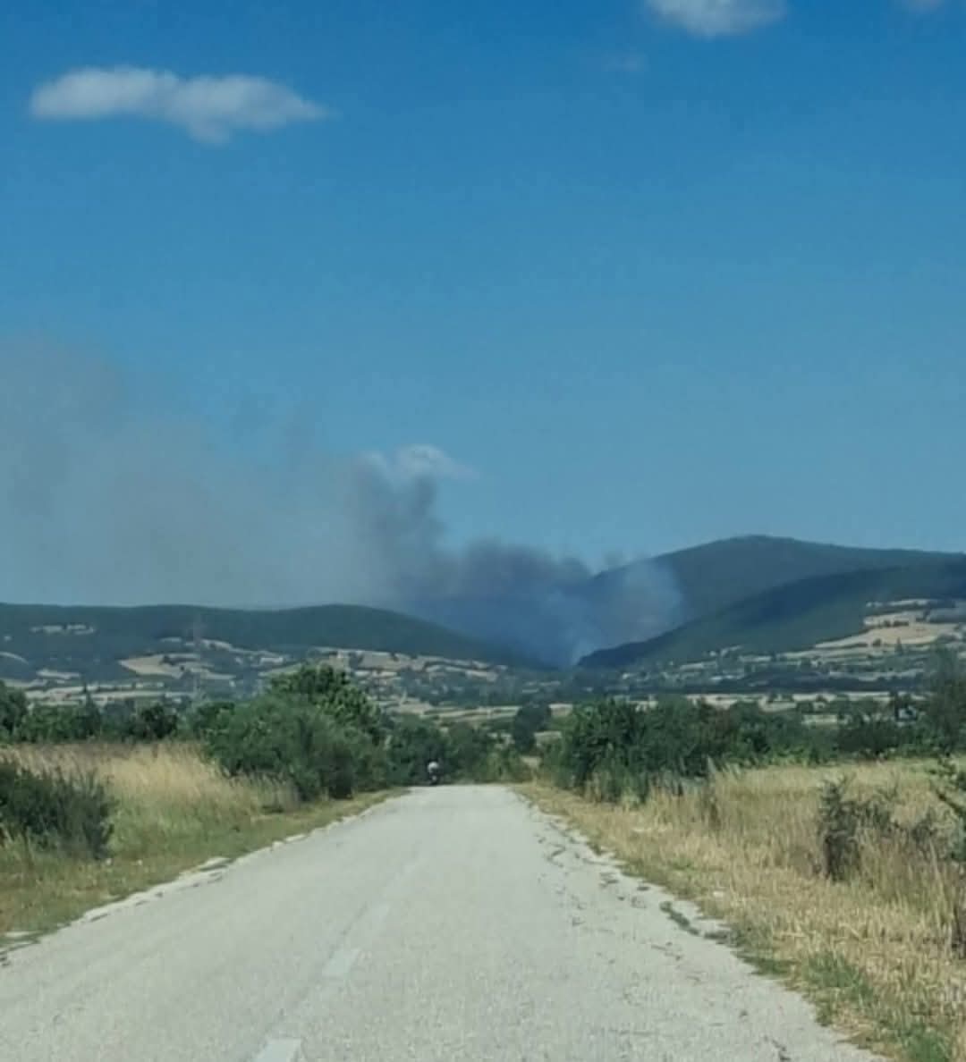 Πυρκαγιά σε αγροτοδασική έκταση στην Παλαιά Κρωβύλη Ροδόπης Πυρκαγιά σε αγροτοδασική έκταση στην Παλαιά Κρωβύλη Ροδόπης