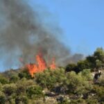 Πυρκαγιά σε αγροτική έκταση στην Αγία Τριάδα Μώλου Φθιώτιδας