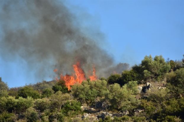 Πυρκαγιά σε αγροτική έκταση στην Αγία Τριάδα Μώλου Φθιώτιδας
