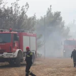 Πυρκαγιά σε ξηρά χόρτα στον Ασπρόπυργο Αττικής