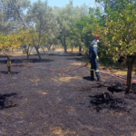 Πυρκαγιά σε αγροτική έκταση στην περιοχή της Θερμής Μυτιλήνης