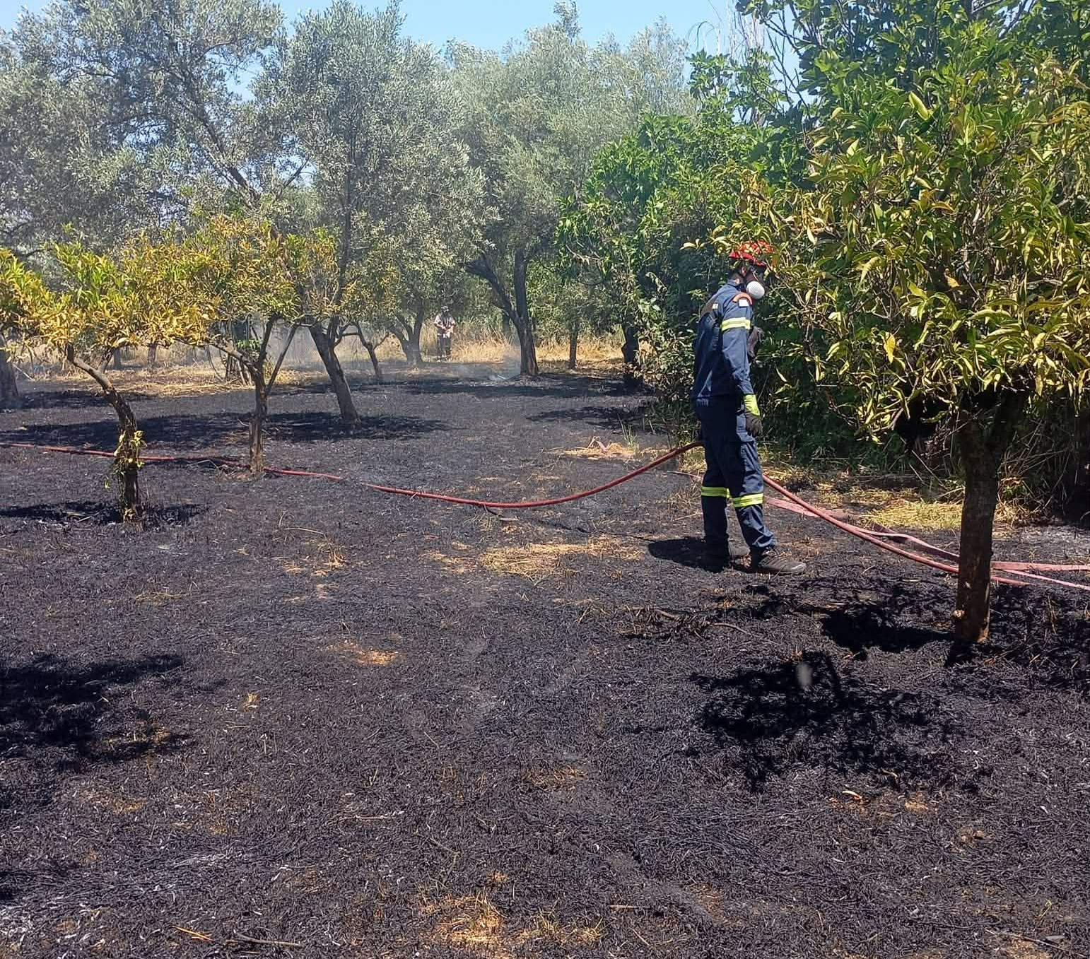 Πυρκαγιά σε αγροτική έκταση στην περιοχή της Θερμής Μυτιλήνης Πυρκαγιά σε αγροτική έκταση στην περιοχή της Θερμής Μυτιλήνης