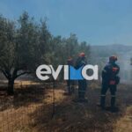 Πυρκαγιά σε αγροτική έκταση στον Αλμυροπόταμο Εύβοιας