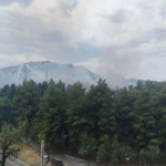 Πυρκαγιά σε χαμηλή βλάστηση στην περιοχή φιλόθεη Αττικής