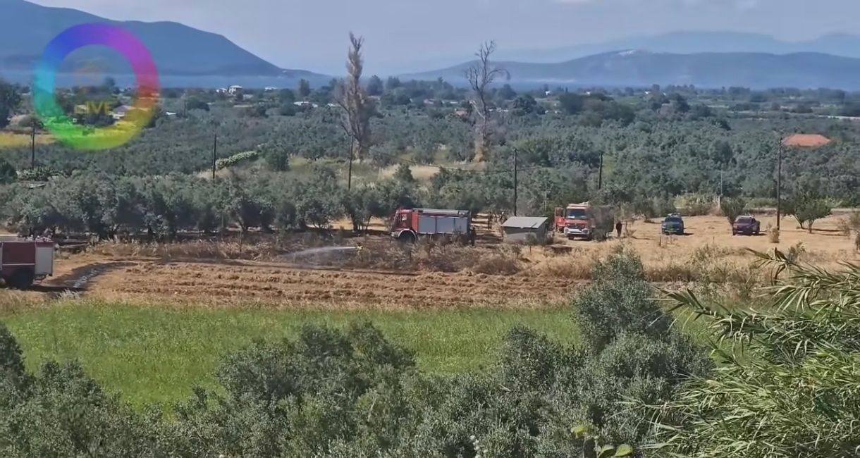 Πυρκαγιά σε ξερά χόρτα στους Ωρεούς Ευβοίας Πυρκαγιά σε ξερά χόρτα στους Ωρεούς Ευβοίας