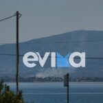 Πυρκαγιά σε αγροτοδασική έκταση στο Πανόραμα Δροσιάς Χαλκίδας