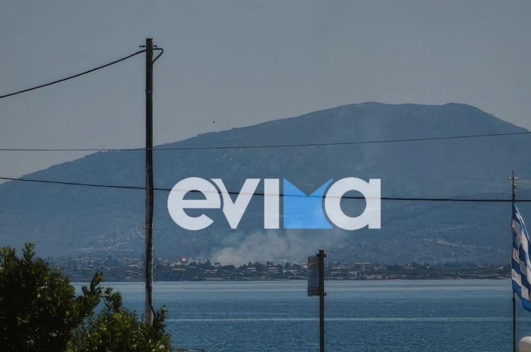 Πυρκαγιά σε αγροτοδασική έκταση στο Πανόραμα Δροσιάς Χαλκίδας