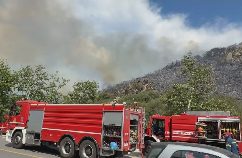 Πυρκαγιά σε χαμηλή βλάστηση στα Πεύκα Θεσσαλονίκης Πυρκαγιά σε χαμηλή βλάστηση στα Πεύκα Θεσσαλονίκης