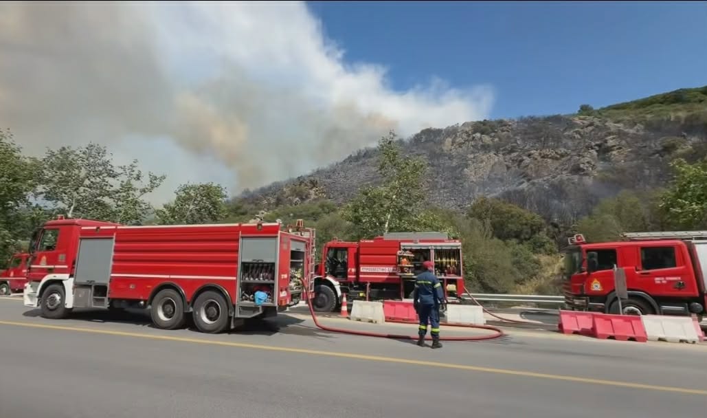 Πυρκαγιά σε χαμηλή βλάστηση στα Πεύκα Θεσσαλονίκης Πυρκαγιά σε χαμηλή βλάστηση στα Πεύκα Θεσσαλονίκης